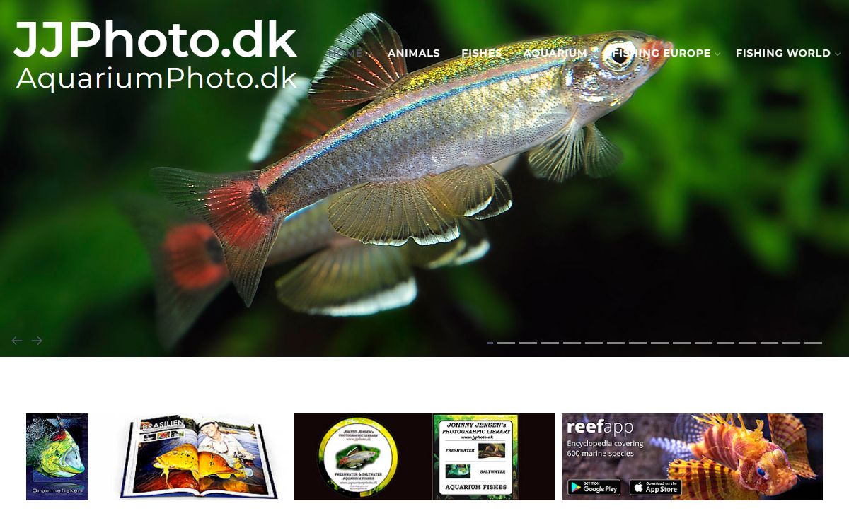 JJPhoto.dk / AquariumPhoto.dk