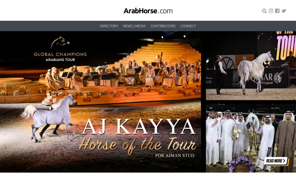 Arabian Horses: Equine Marketing, Web Design, Horse Farms & Events | ArabHorse.com :: Arabian Horses, Stallions, Farms, Arabians, Horses For Sale - Arabian Horse Network
