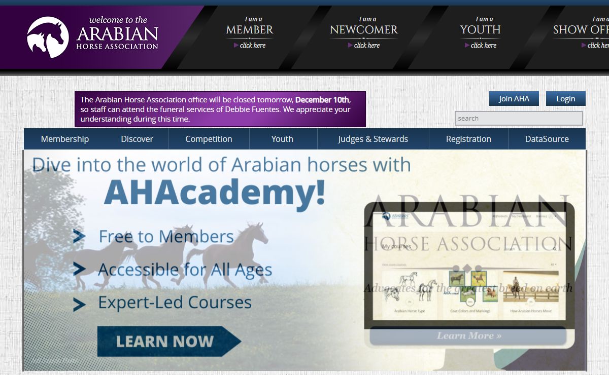 ArabianHorses.org - arabianhorses.org