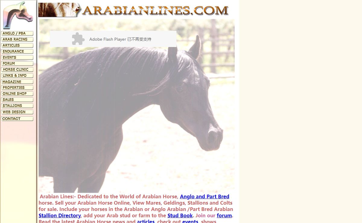 Arabian Lines - The Arabian Horse web site