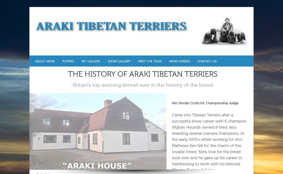 Araki Tibetan Terriers – Our puppies are born in the farmhouse kitchen next to the Aga, this allows the bitch & her babies to move around with lots of space, Our dogs are never crated & all our puppies have a full veterinary health check and 1st Inoculation at approx 7 weeks old.