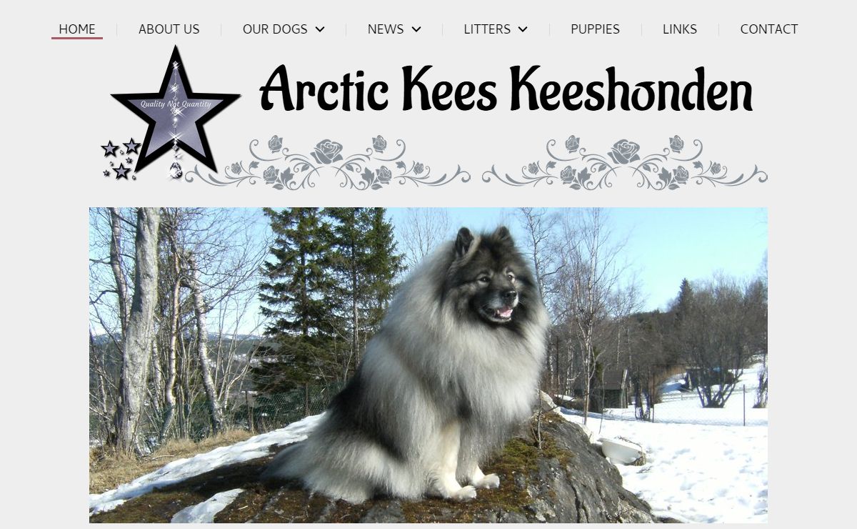 arctickees.com
