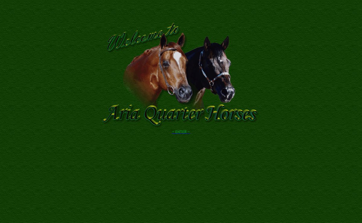 Aria Quarter Horses