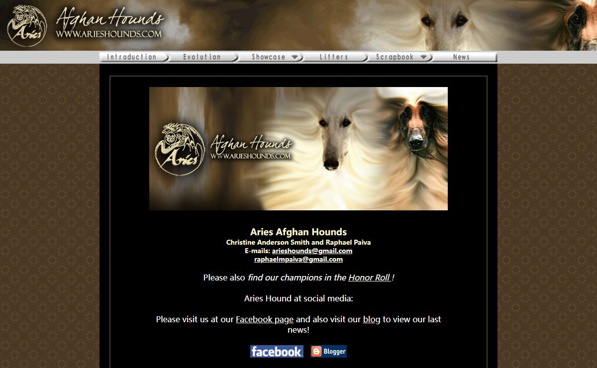 ARIES AFGHAN HOUNDS