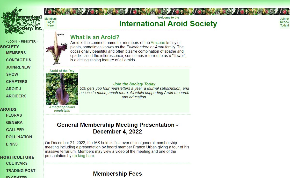 International Aroid Society