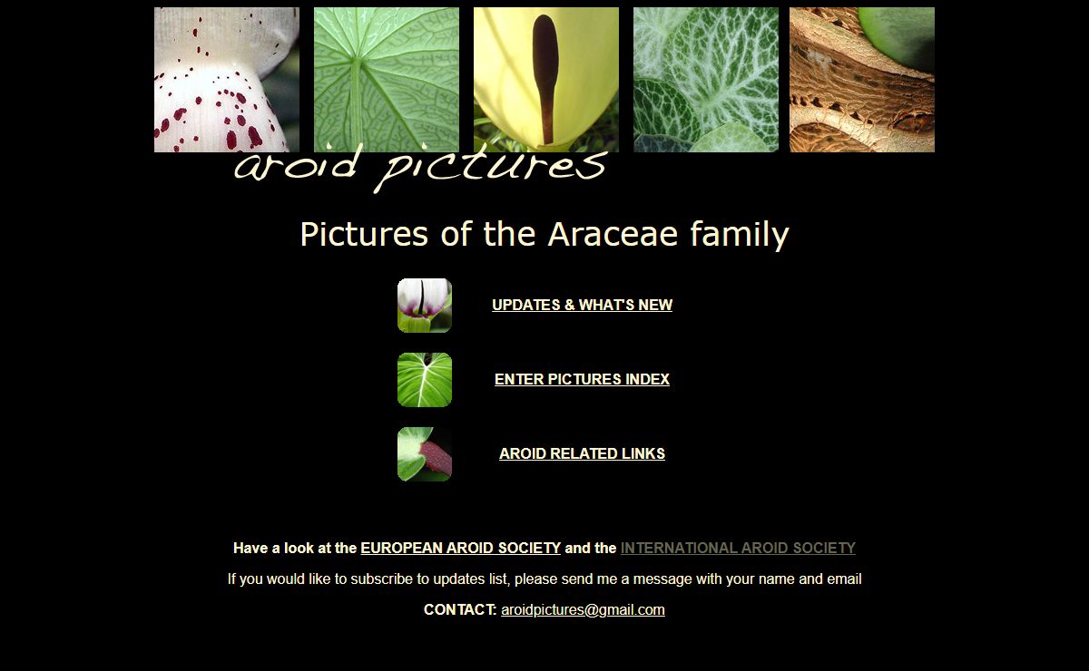 ENTER THE PICTURES INDEX