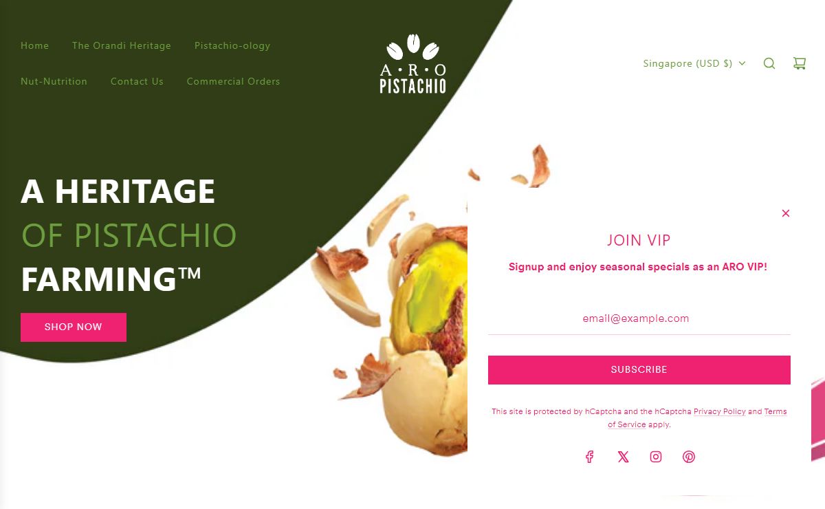 ARO Pistachio Gourmet Natural Jumbo Pistachio Nuts – ARO Pistachios