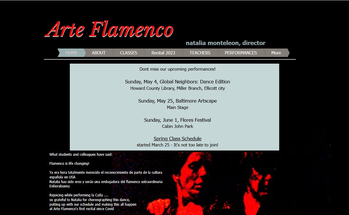 Arte Flamenco de Natalia Monteleon
