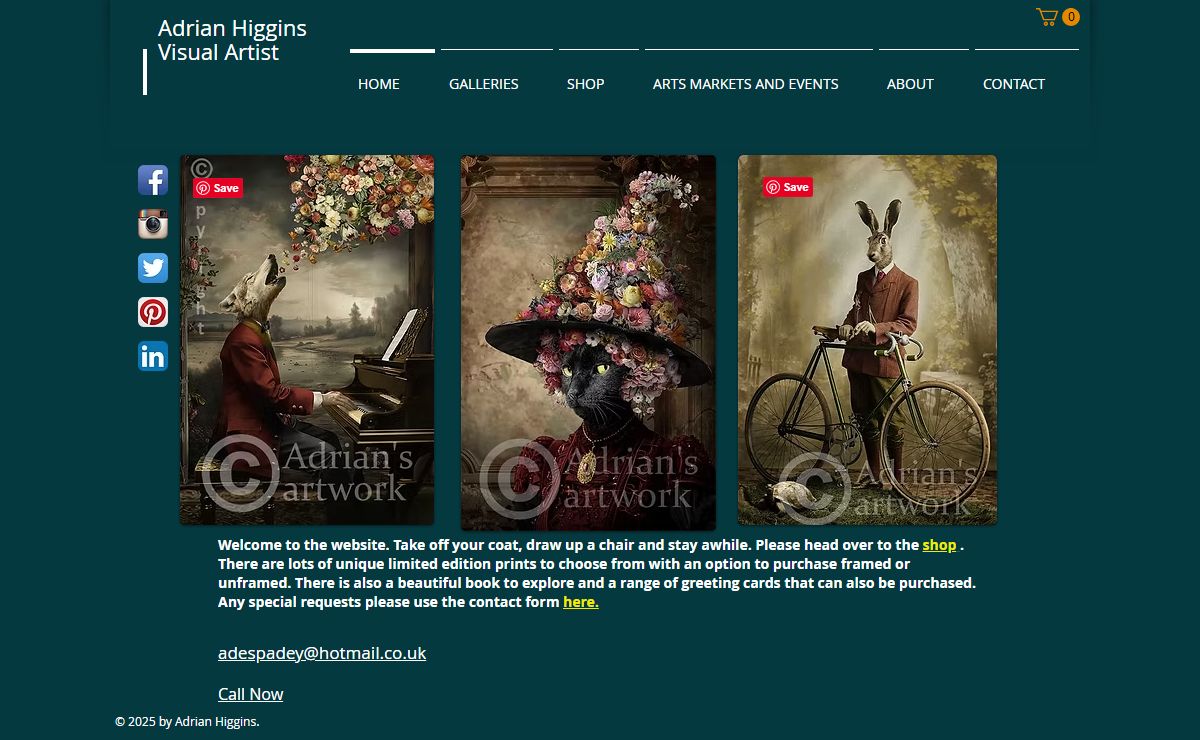 Art | Adrian Higgins Visual Artist