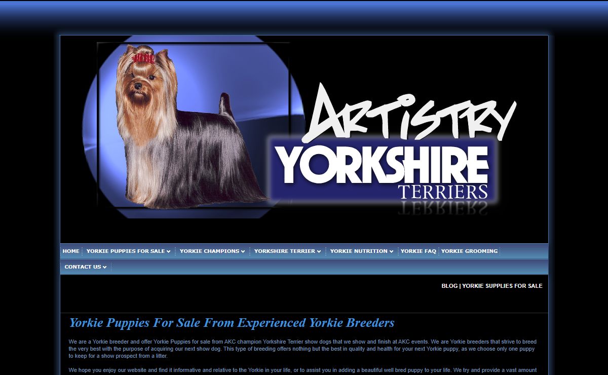 Yorkie Breeders|Artistry Yorkies