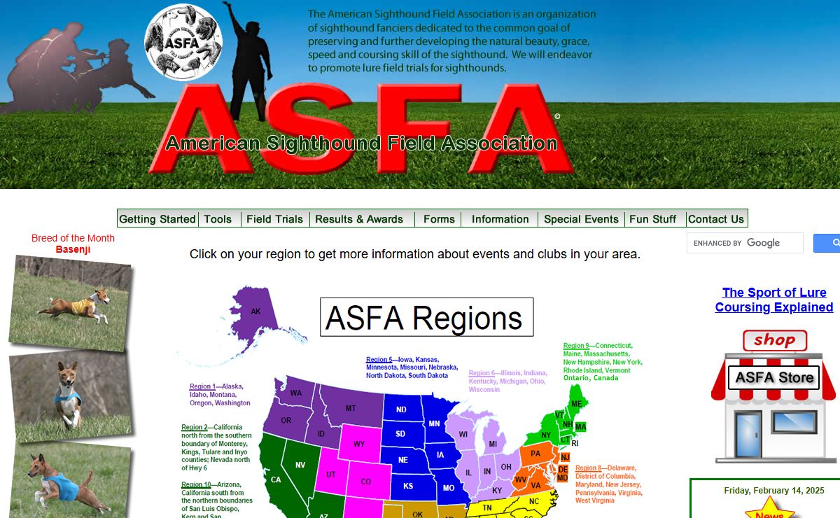 American Sighthound Field Association, ASFA,