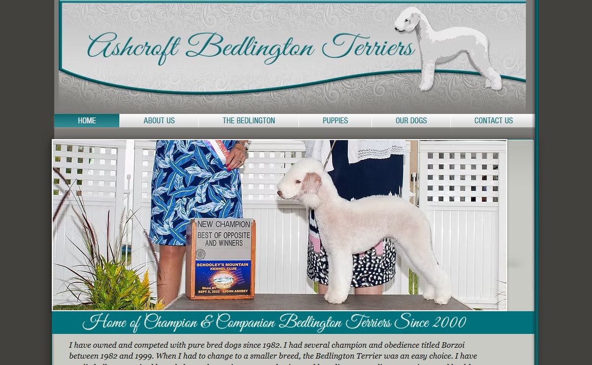 Ashcroft Bedlington Terriers | Honey Brook, Pennsylvania