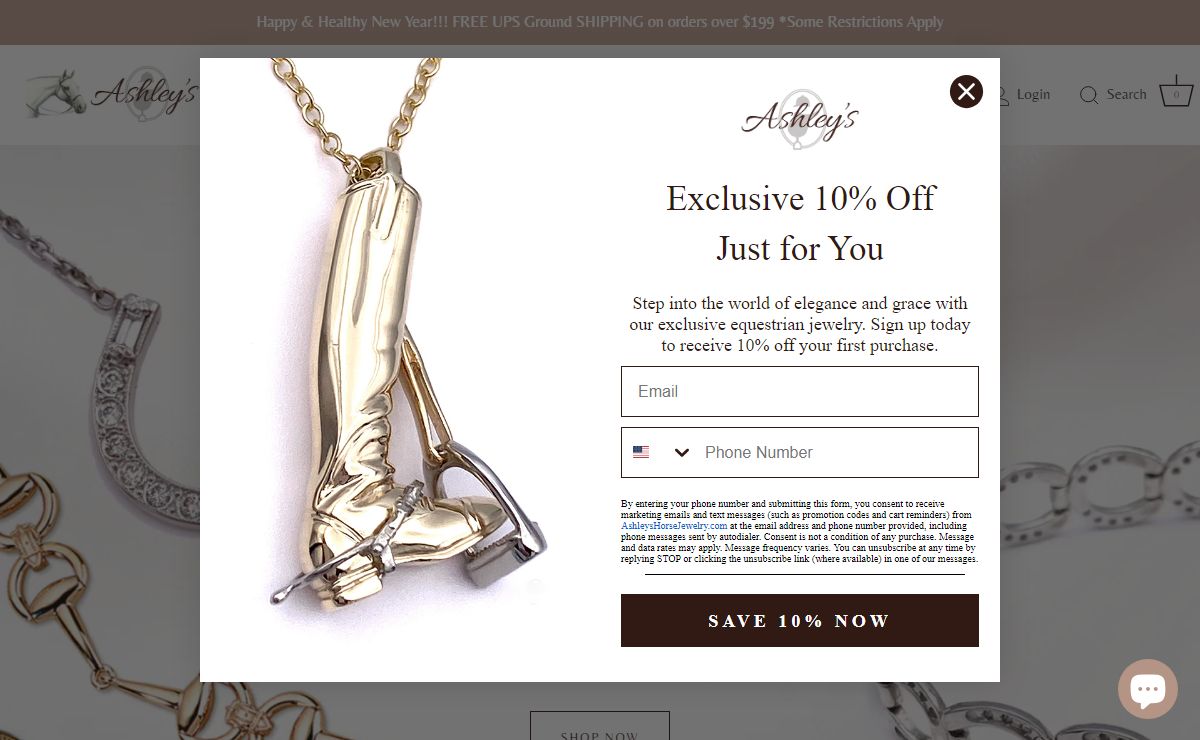Welcome to Ashley's Horse Jewelry – Ashley's Equestrian
