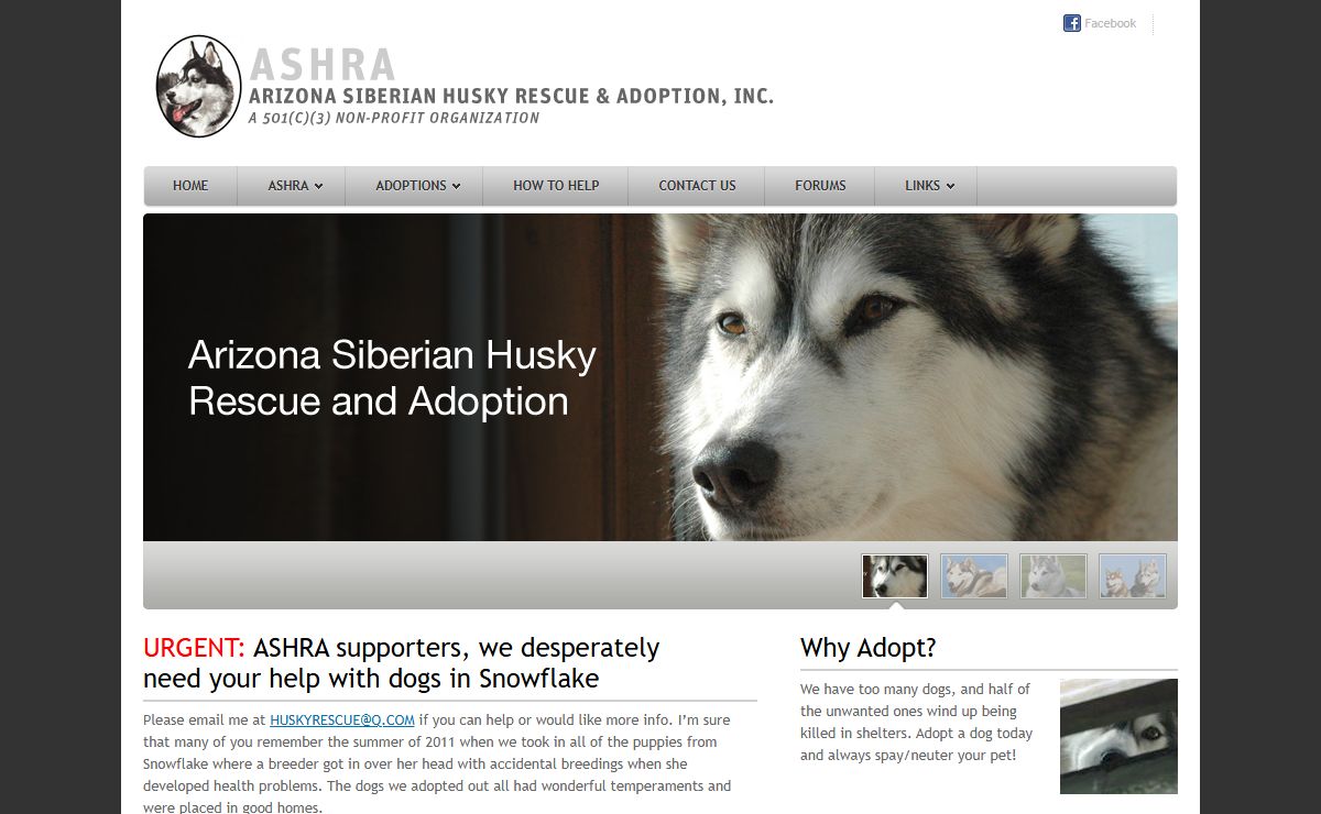 Arizona Siberian Husky Rescue & Adoption