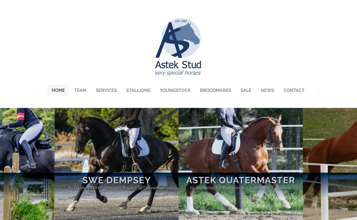 ASTEK STUD VERY SPECIAL HORSES - Home