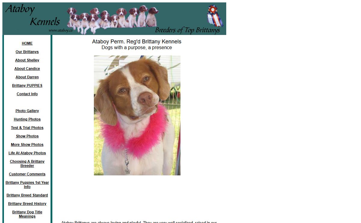 Brittany Puppies Brittany Dogs Ataboy Registered Kennels