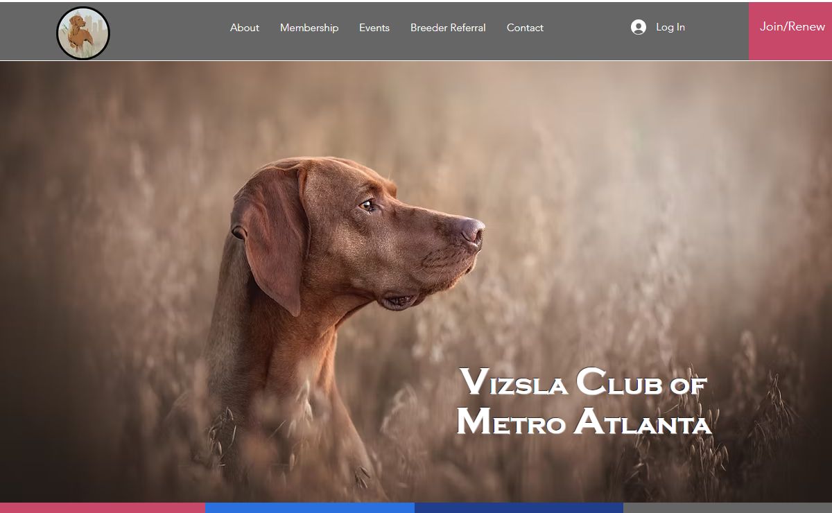 Home | Vizsla Club of Metro Atlanta
