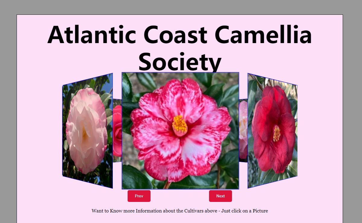 Atlantic Coast Camellia Society
