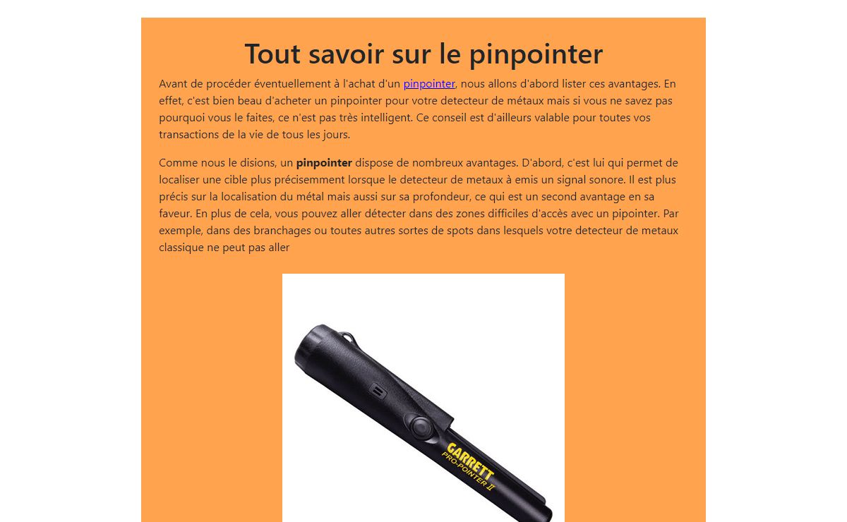 √ Pinpointer ⇒ Guide d'achat 2020