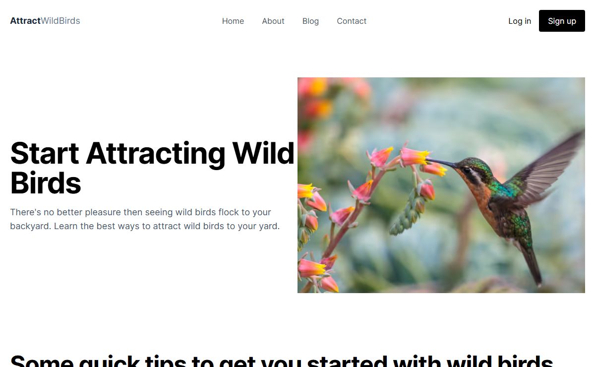 Attract Wild Birds