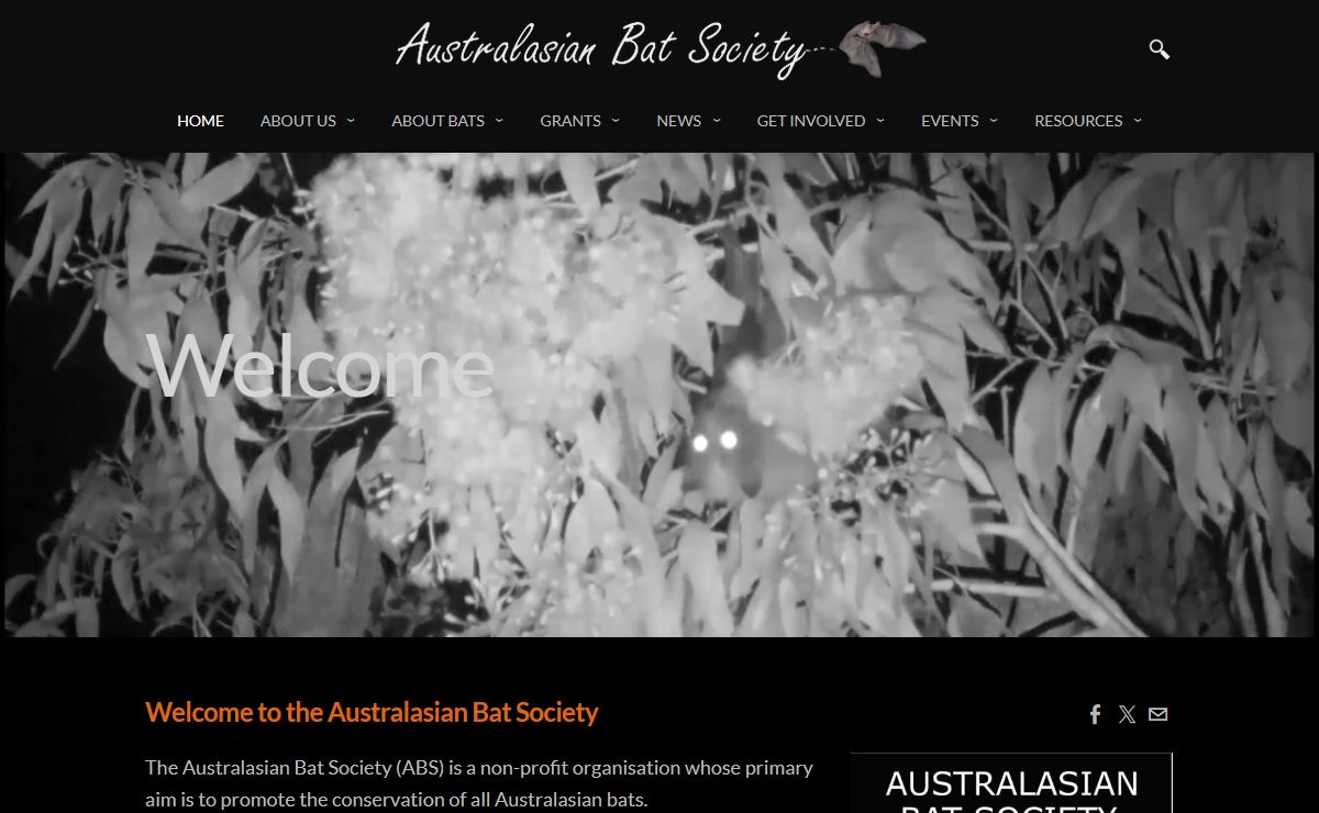 Ausbats - Welcome to the Australasian Bat Society
