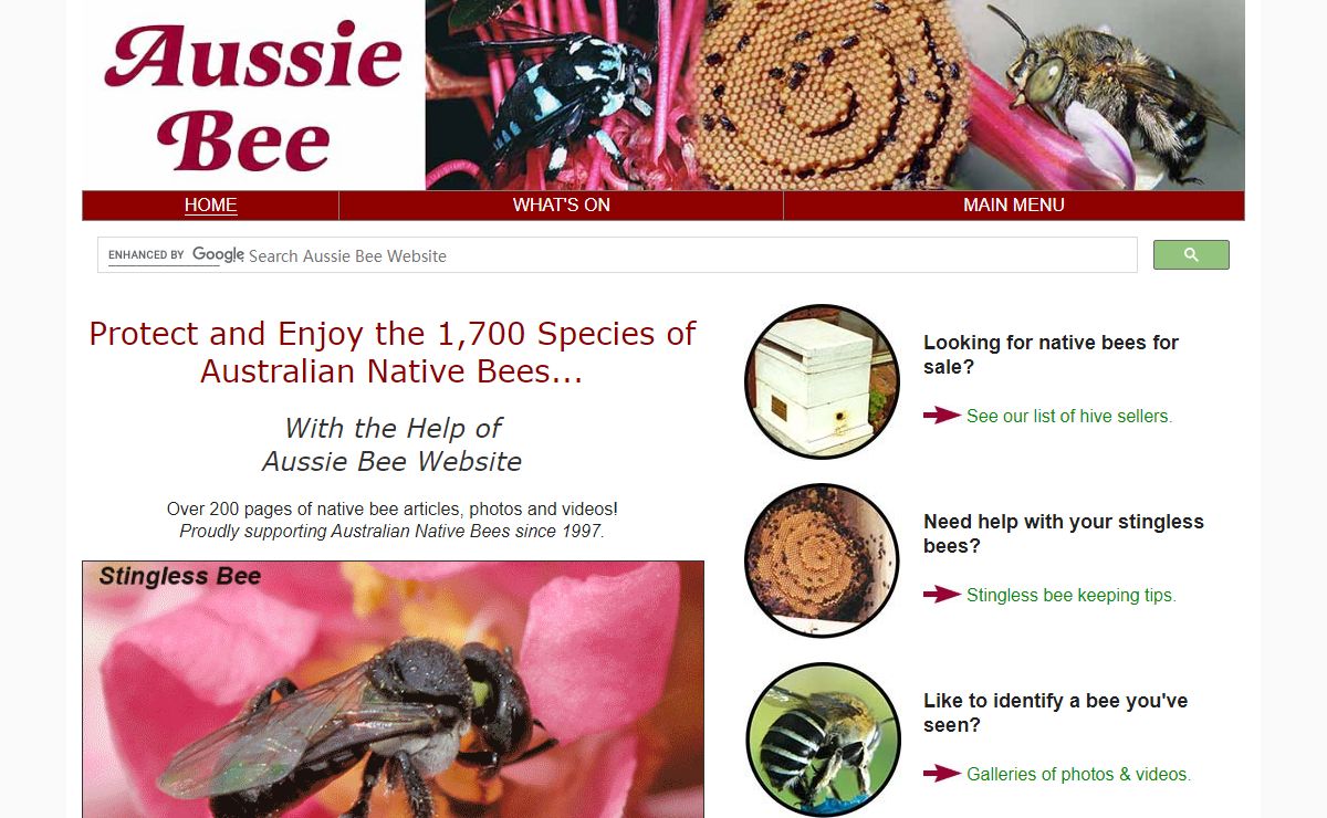 Aussie Bee Website homepage