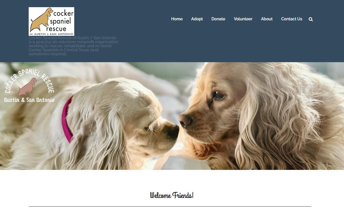 Cocker Spaniel Rescue of Austin and San Antonio