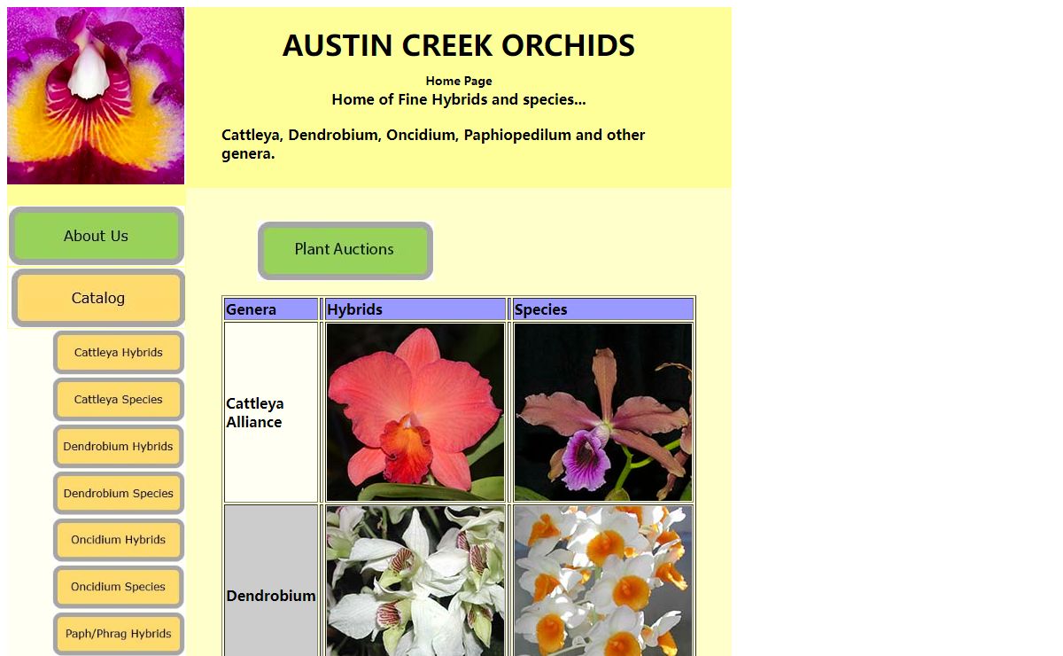 Austin Creek Orchids - Home Page
