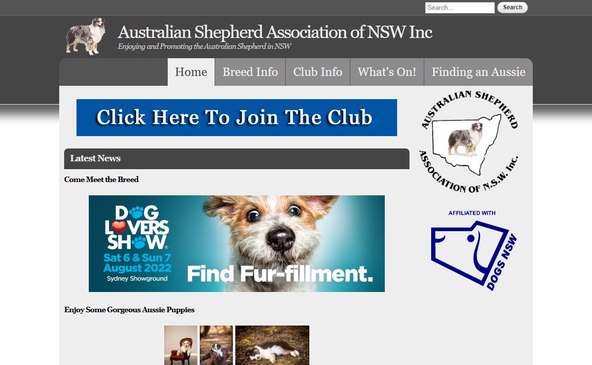 Australian Shepherd Association of NSW Inc | Enjoying and Promoting the Australian Shepherd in NSW