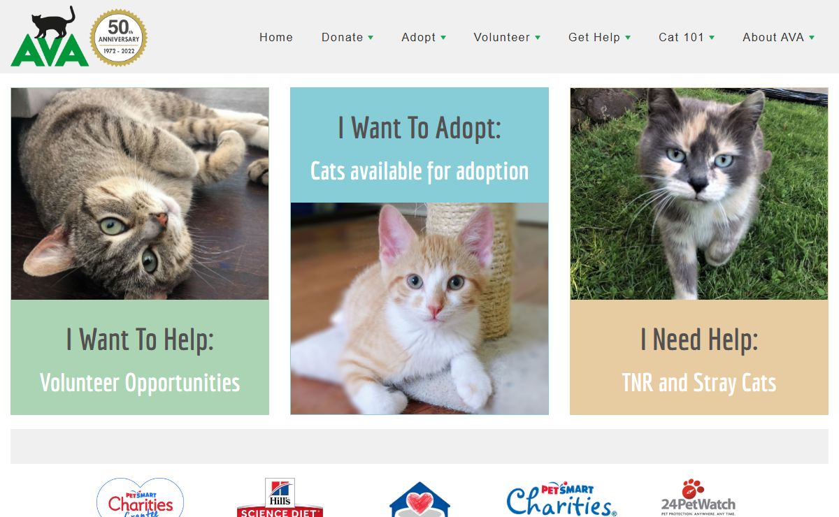 Action Volunteers for Animals - Adopt a Rescue Cat
