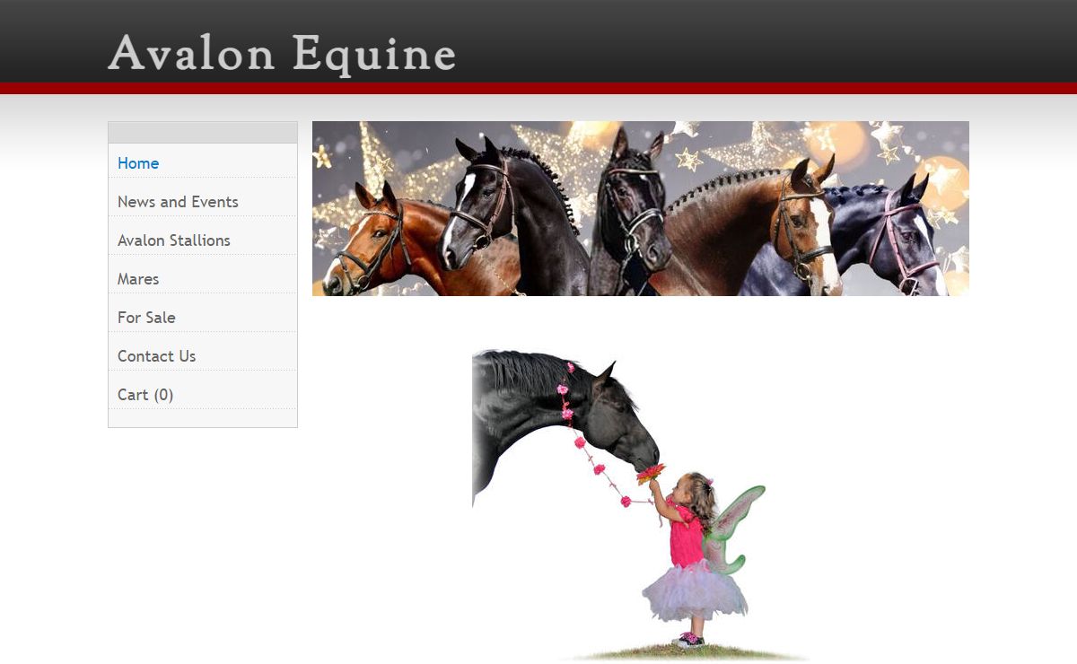 Avalon Equine - | Breeding Quality Performance Sport Horses