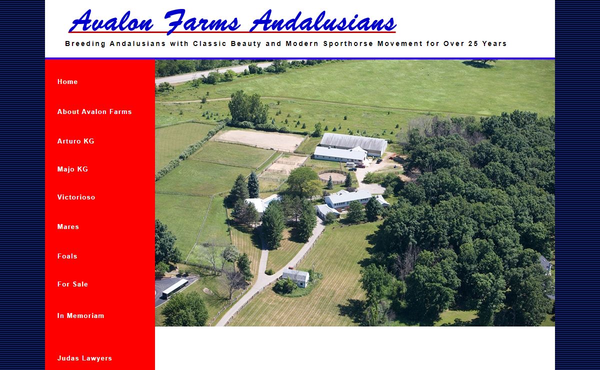 Avalon Farms Andalusians