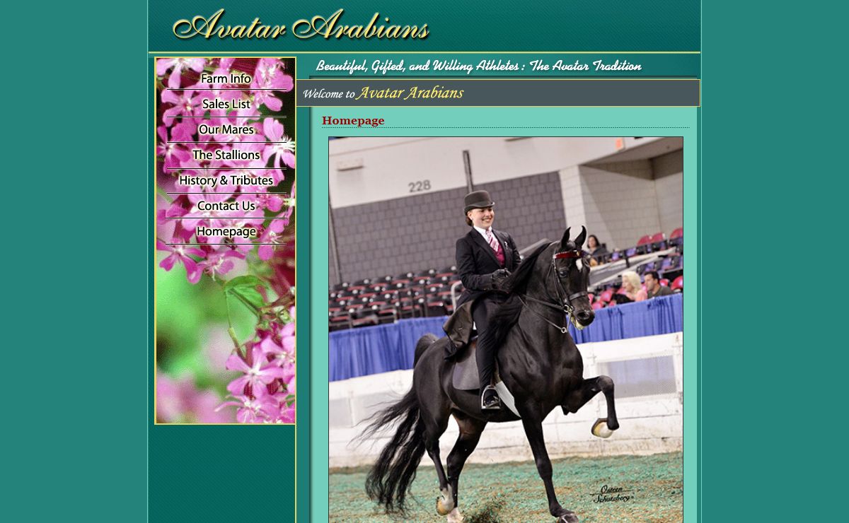 :: Avatar Arabians :: Homepage ::