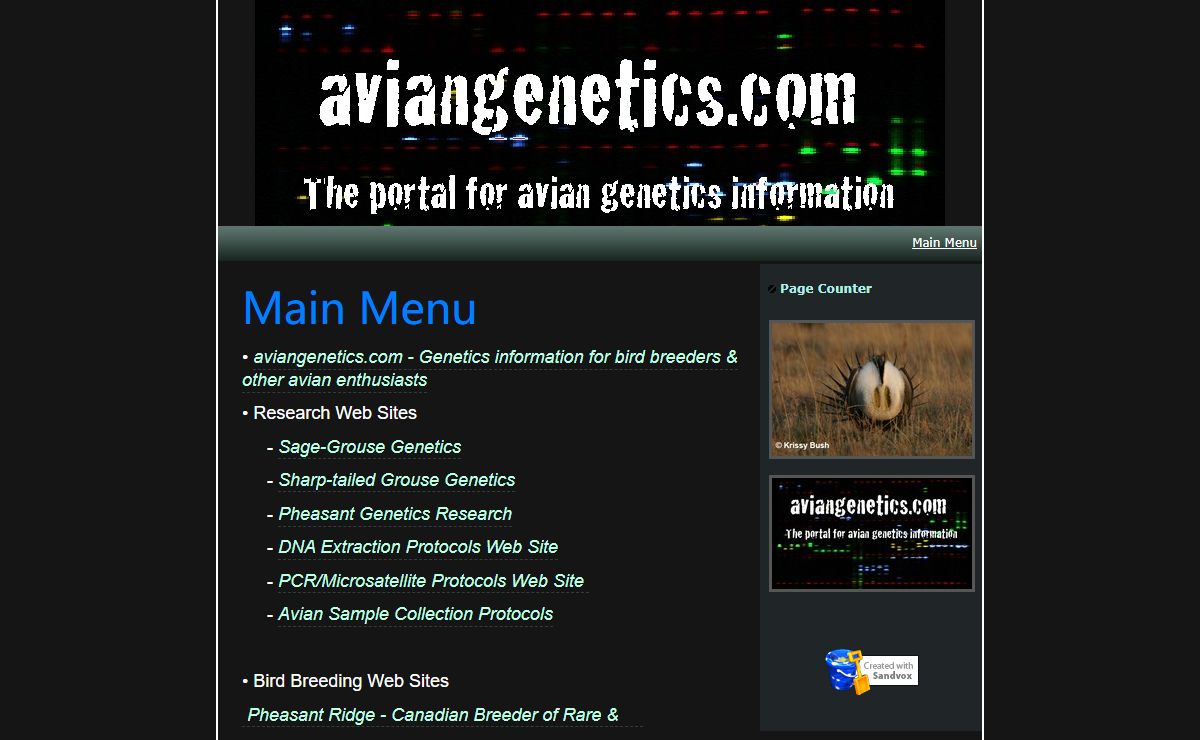Main Menu