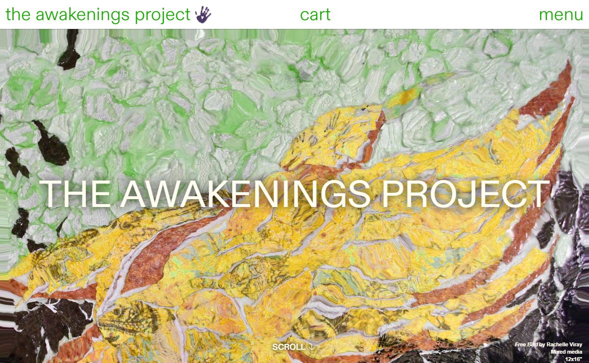 The Awakenings Project