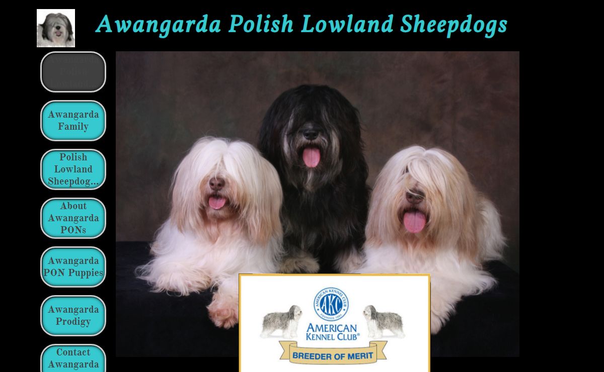 Awangarda Polish Lowland Sheepdogs
