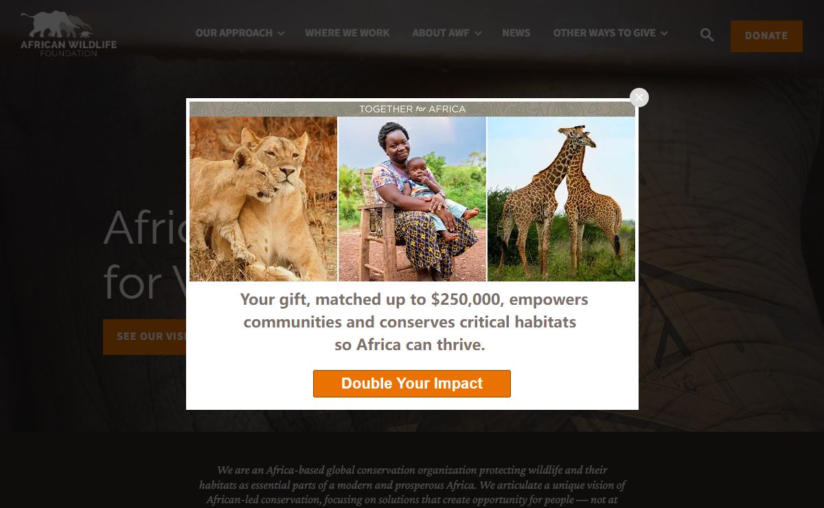 Home | African Wildlife Foundation