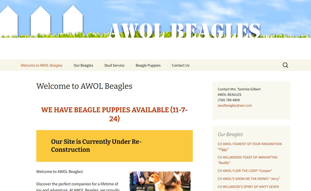 AWOL Beagles | AWOL Beagles – Breeder of Champion AKC Registered Beagles