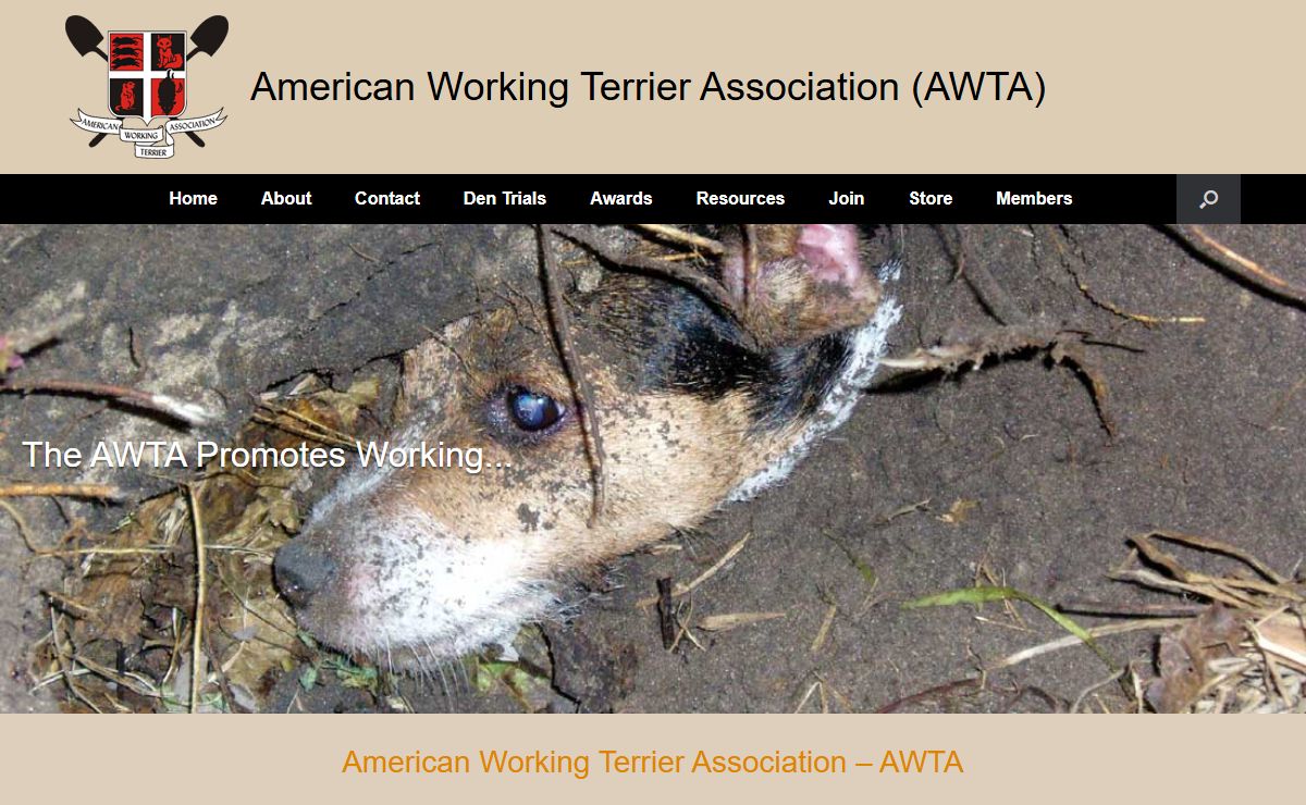 American Working Terrier Association (AWTA) - Working Terriers