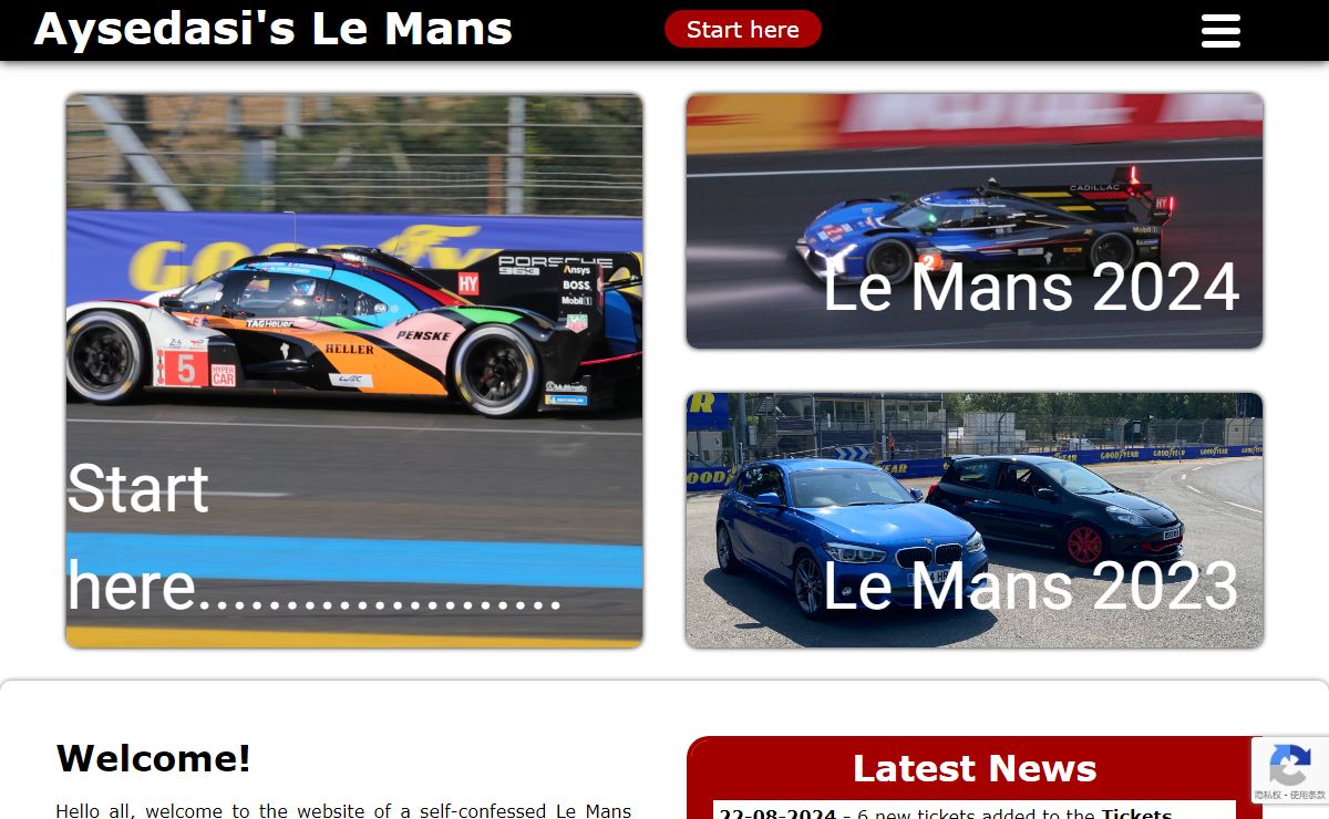 Aysedasi's Le Mans