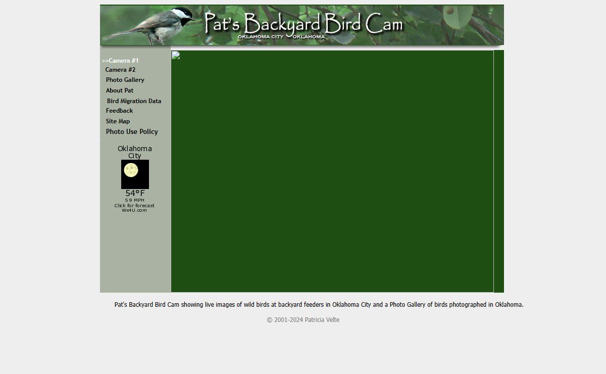 Pat's Backyard Bird Cam - Wild Bird Cam - Oklahoma City