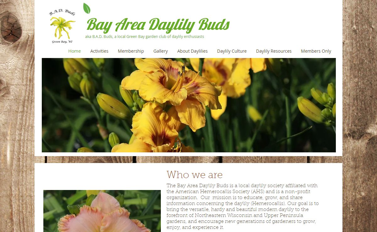 NEW WI garden club | Bay Area Daylily Buds, aka B.A.D Buds