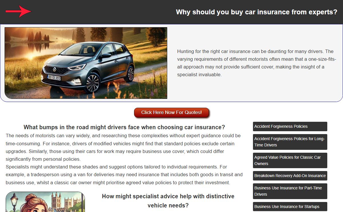 Expert Car Insurance