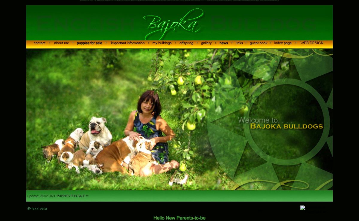 English Bulldog Kennel Bajoka|anglický buldok|BULLDOG