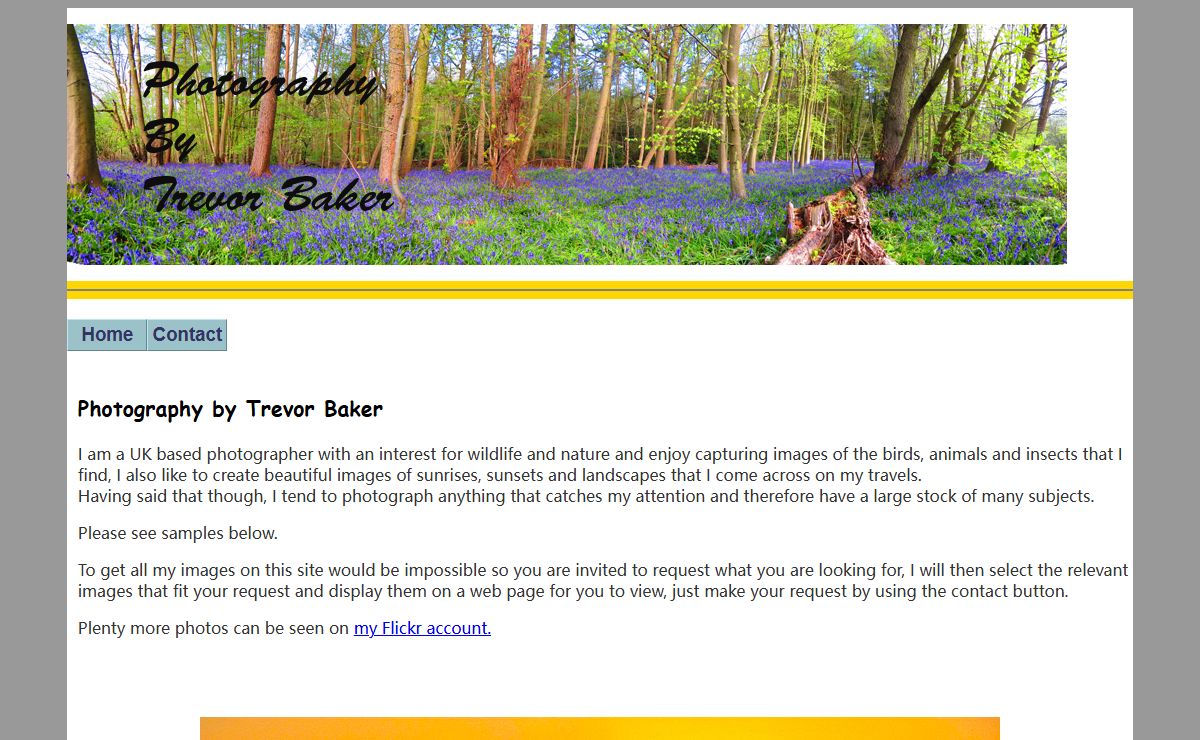 Photography by Trevor Baker