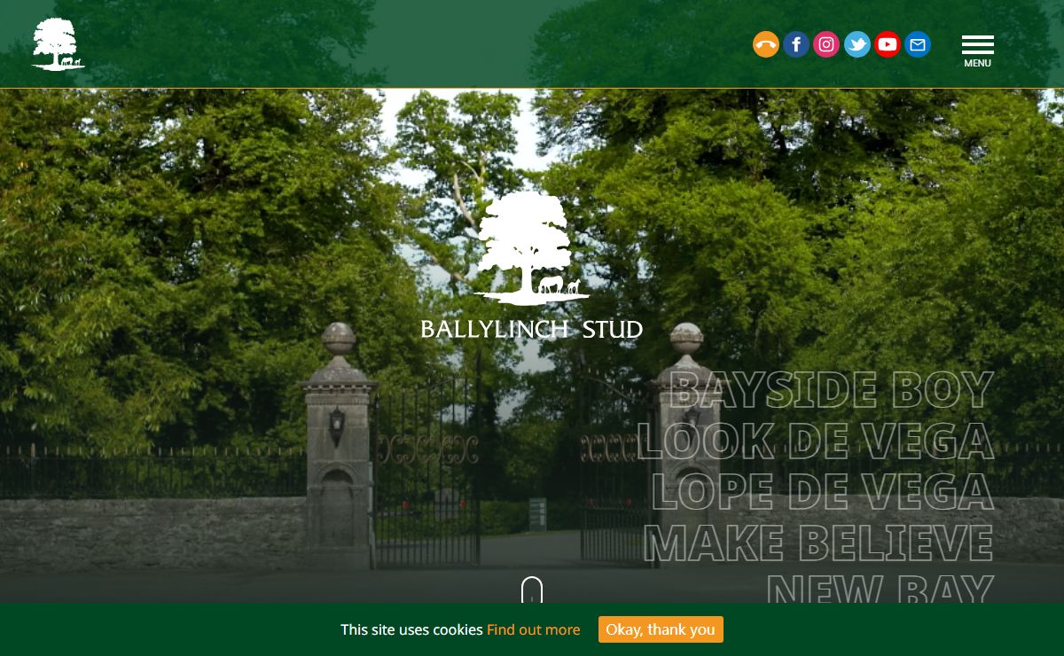 Ballylinch Stud