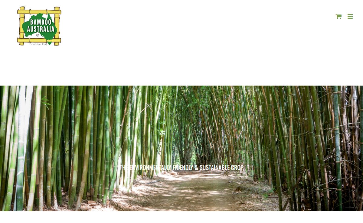 Bamboo Australia | Sunshine Coast | Bamboo Specialists | Home - Bamboo Australia