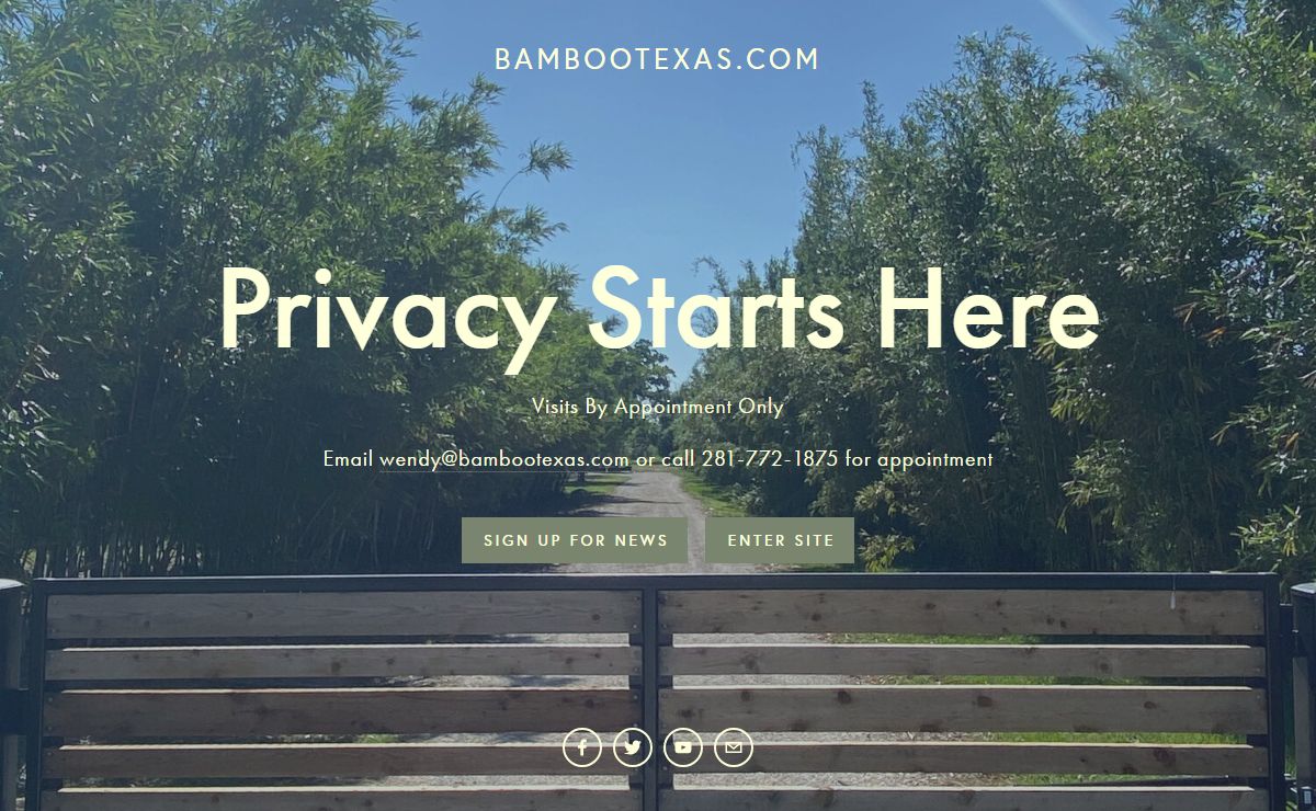 BAMBOOTEXAS.COM