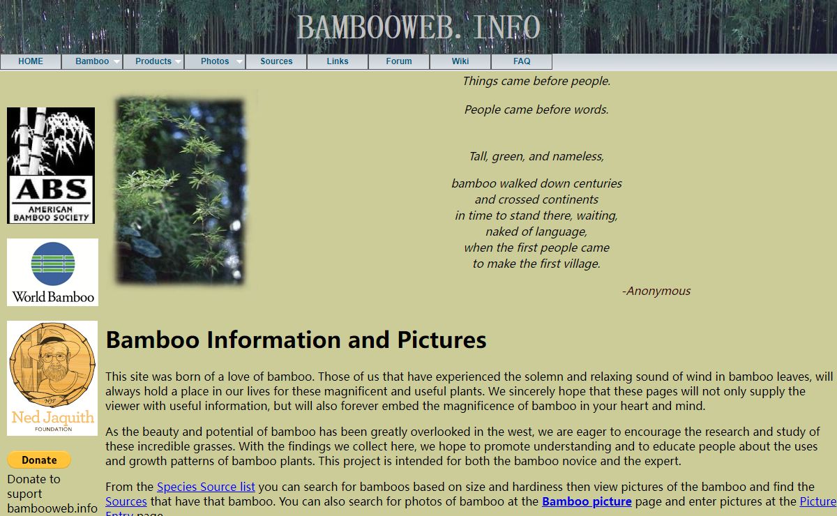 BambooWeb - Bamboo Information and Photos