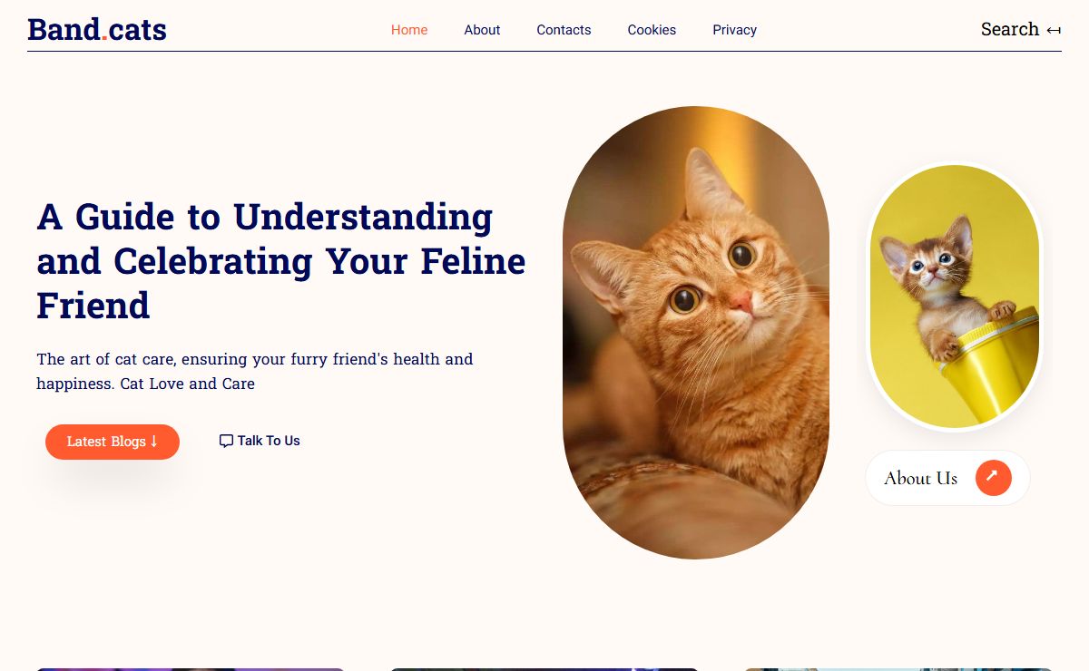 Cat Love and Care – Cat Love and Care
